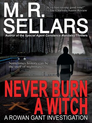 cover image of Never Burn a Witch